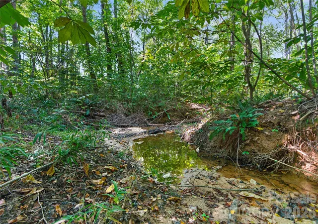 Photo 3 of Land for sale at 0000 Narrow Brg Rd #1, Chester, SC 29706 | MLS# 4429256 | Listing updated on 2026-10-06