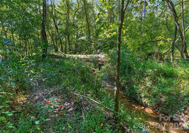 Photo 3 of Land for sale at 0000 Narrow Brg Rd #1, Chester, SC 29706 | MLS# 4429256 | Listing updated on 2026-10-06