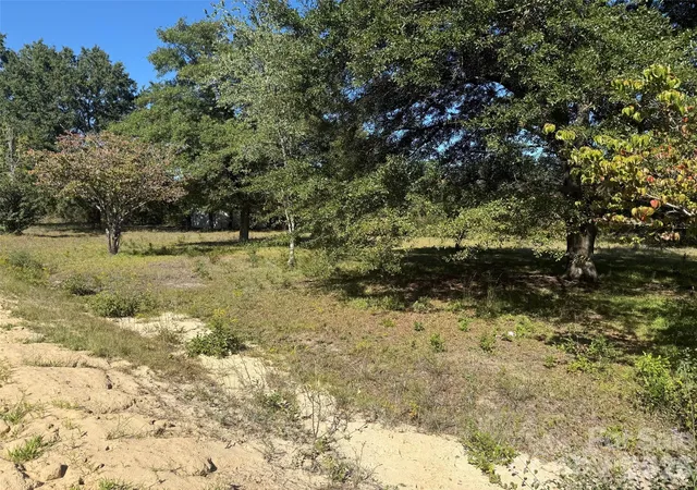 Photo 3 of Land for sale at 3788 Old Georgetown Rd W, Kershaw, SC 29067 | MLS# 4429276 | Listing updated on 2026-09-30