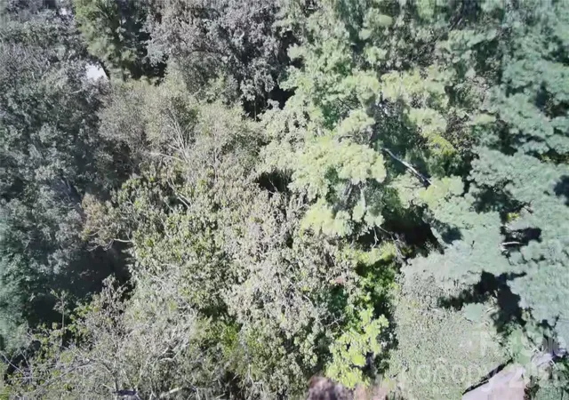 Land for sale at 99999 Roebling Cir #37, Asheville, NC 28803 | MLS# 4429278