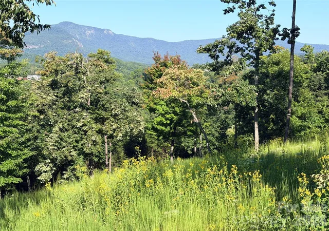 Photo 1 of Land for sale at 0 Summertime Dr, Lake Lure, NC 28746 | MLS# 4429321 | Listing updated on 2026-09-28