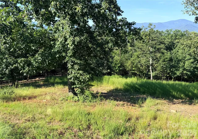 Photo 3 of Land for sale at 0 Summertime Dr, Lake Lure, NC 28746 | MLS# 4429321 | Listing updated on 2026-09-28