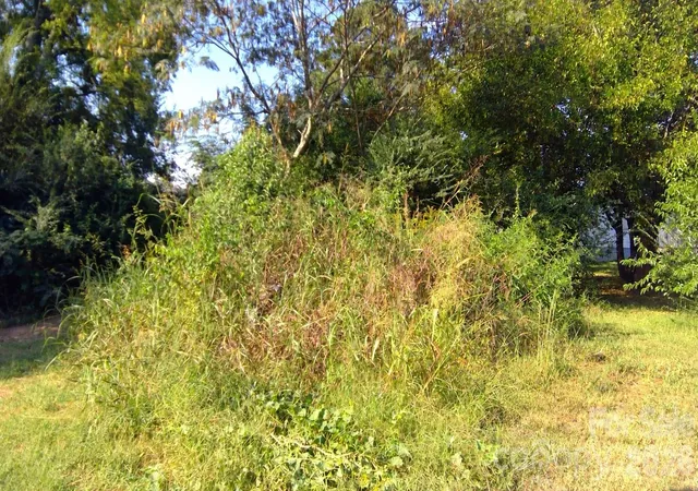 Photo 2 of Land for sale at 727 Webber Ave, Chester, SC 29706 | MLS# 4429369 | Listing updated on 2026-10-01