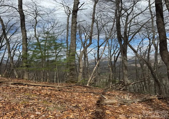 Photo 3 of Land for sale at 1 E Wabash Dr, Sylva, NC 28779 | MLS# 4429431 | Listing updated on 2026-09-28