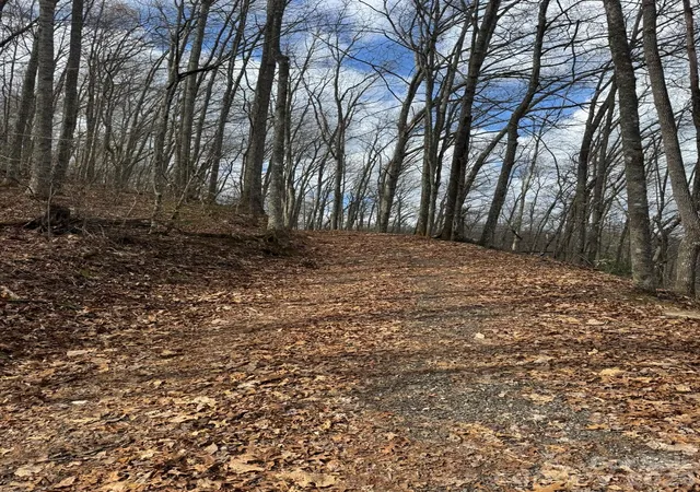 Photo 3 of Land for sale at 1 E Wabash Dr, Sylva, NC 28779 | MLS# 4429431 | Listing updated on 2026-09-28