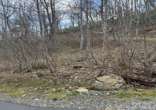 Photo 4 of Land for sale at 1 E Wabash Dr, Sylva, NC 28779 | MLS# 4429431 | Listing updated on 2026-09-28