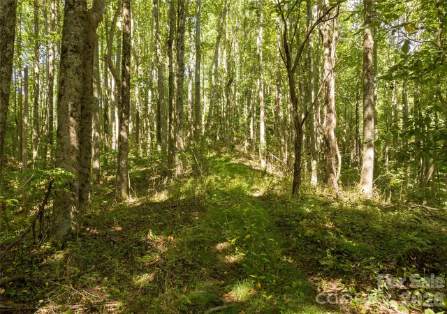 Photo 2 of Land for sale at 9999 Spillcorn Rd, Marshall, NC 28753 | MLS# 4429525 | Listing updated on 2026-09-29