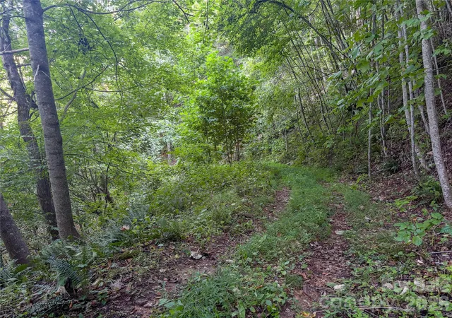 Photo 3 of Land for sale at 9999 Spillcorn Rd, Marshall, NC 28753 | MLS# 4429525 | Listing updated on 2026-09-29