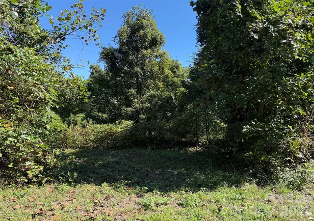 Photo 3 of Land for sale at Lot 4 Bronco Pass, East Flat Rock, NC 28726 | MLS# 4429557 | Listing updated on 2026-09-30