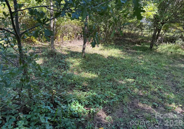 Photo 4 of Land for sale at Lot 4 Bronco Pass, East Flat Rock, NC 28726 | MLS# 4429557 | Listing updated on 2026-09-30