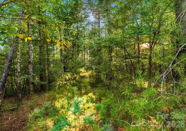 Photo 1 of Land for sale at 60 Kingfisher Ter #107, Nebo, NC 28761 | MLS# 4429645 | Listing updated on 2026-09-30