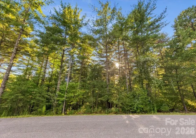 Photo 2 of Land for sale at 60 Kingfisher Ter #107, Nebo, NC 28761 | MLS# 4429645 | Listing updated on 2026-09-30