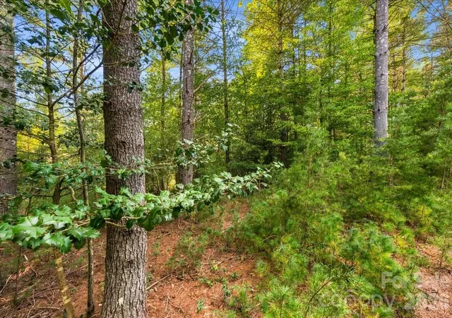 Photo 3 of Land for sale at 60 Kingfisher Ter #107, Nebo, NC 28761 | MLS# 4429645 | Listing updated on 2026-09-30