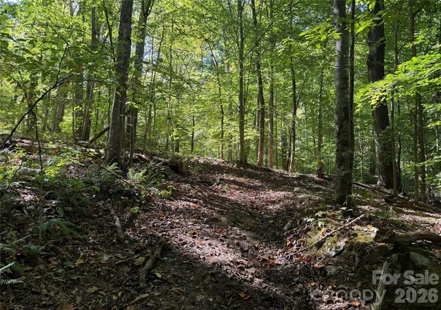 Photo 2 of Land for sale at 99999 Destiny Farms Dr, Leicester, NC 28748 | MLS# 4429715 | Listing updated on 2026-09-30