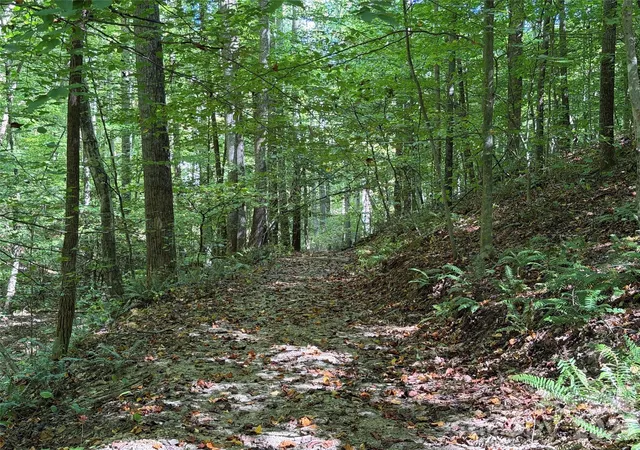 Photo 3 of Land for sale at 99999 Destiny Farms Dr, Leicester, NC 28748 | MLS# 4429715 | Listing updated on 2026-09-30