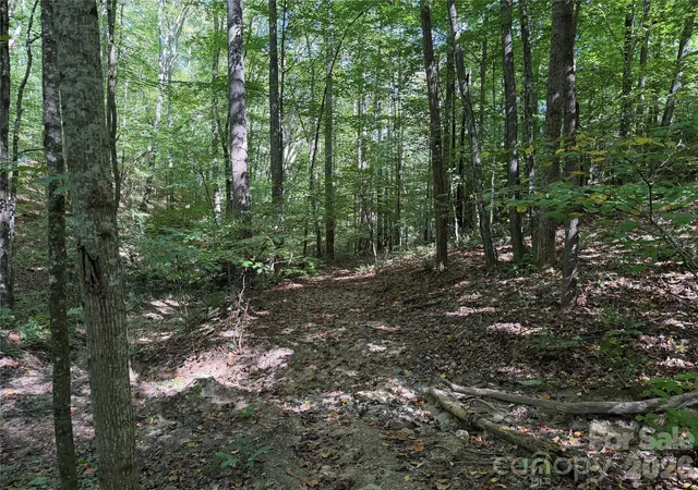 Photo 4 of Land for sale at 99999 Destiny Farms Dr, Leicester, NC 28748 | MLS# 4429715 | Listing updated on 2026-09-30