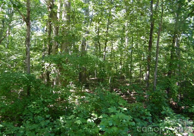 Photo 1 of Land for sale at 113 Chippewa Trl, China Grove, NC 28023 | MLS# 4429845 | Listing updated on 2026-10-07