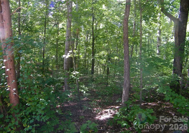 Photo 3 of Land for sale at 113 Chippewa Trl, China Grove, NC 28023 | MLS# 4429845 | Listing updated on 2026-10-07