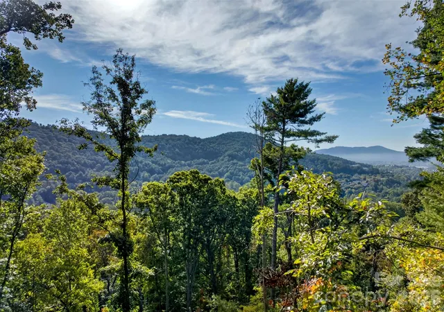 Photo 2 of Land for sale at 0 Vance Gap Rd, Asheville, NC 28805 | MLS# 4429867 | Listing updated on 2026-10-09