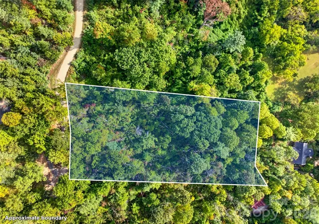 Photo 3 of Land for sale at 0 Vance Gap Rd, Asheville, NC 28805 | MLS# 4429867 | Listing updated on 2026-10-09
