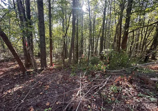 Photo 2 of Land for sale at 84 Sunrise Trl, Lincolnton, NC 28092 | MLS# 4429881 | Listing updated on 2026-10-01