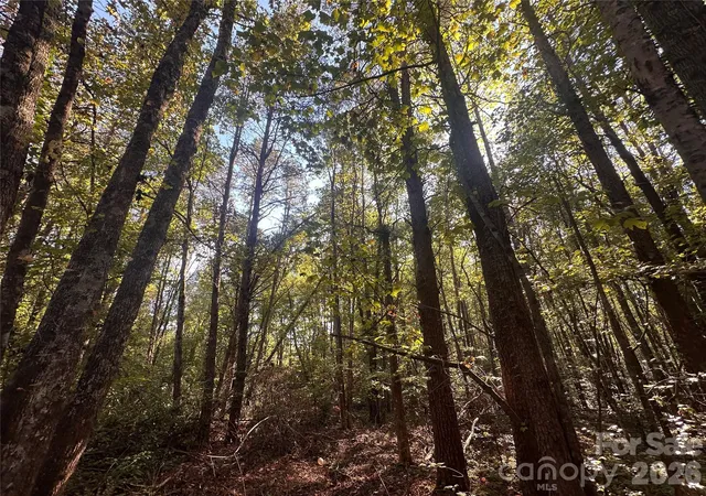 Photo 3 of Land for sale at 84 Sunrise Trl, Lincolnton, NC 28092 | MLS# 4429881 | Listing updated on 2026-10-01