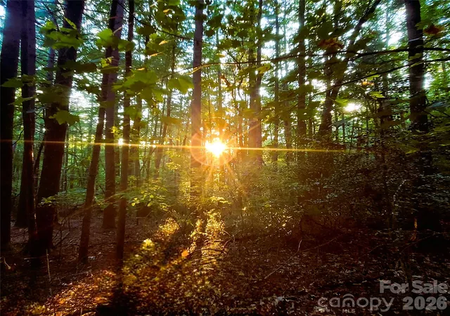 Photo 1 of Land for sale at 0 Joyful Ln, Hendersonville, NC 28791 | MLS# 4429966 | Listing updated on 2026-10-02