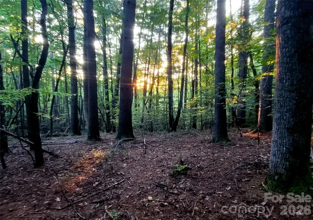 Photo 3 of Land for sale at 0 Joyful Ln, Hendersonville, NC 28791 | MLS# 4429966 | Listing updated on 2026-10-02
