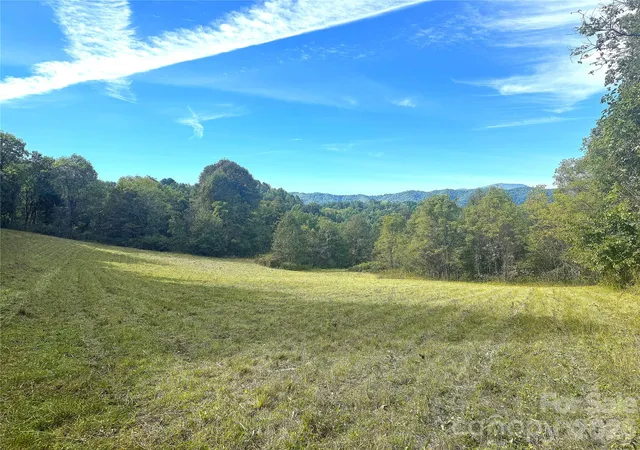 Photo 1 of Land for sale at Tbd Baltimore Branch Rd, Hot Springs, NC 28743 | MLS# 4429973 | Listing updated on 2026-10-03