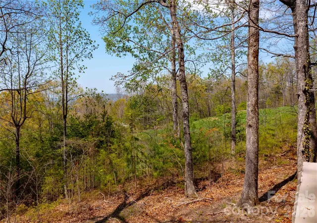 Photo 35 of Single family home for sale at 39 Tatham Rd, Hendersonville, NC 28792 | MLS# 4430051 | Listing updated on 2026-10-08