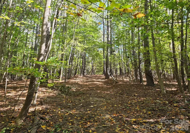 Photo 2 of Land for sale at 1350 Mcknight Rd, Smyrna, SC 29743 | MLS# 4430074 | Listing updated on 2026-10-08