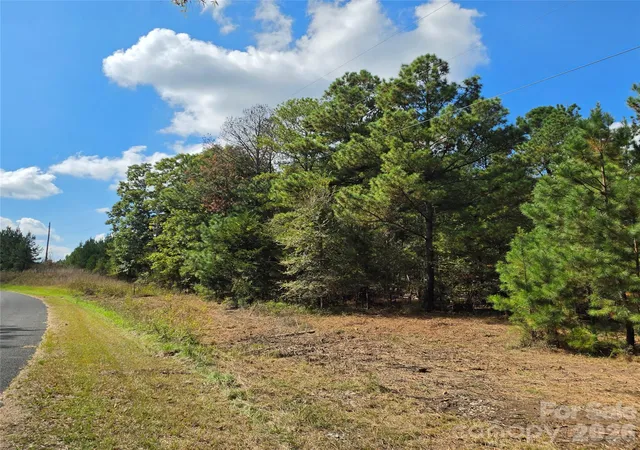 Photo 4 of Land for sale at 1350 Mcknight Rd, Smyrna, SC 29743 | MLS# 4430074 | Listing updated on 2026-10-08