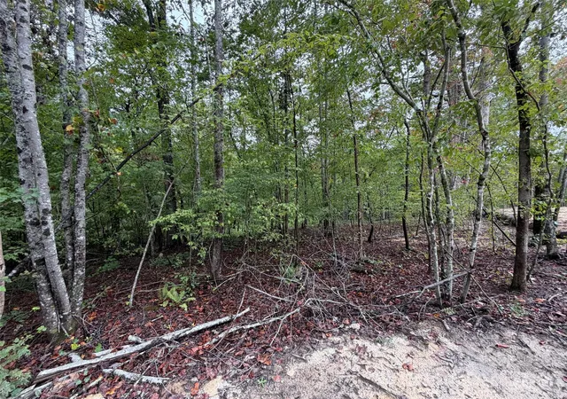 Land for sale at V/l W V Thompson Rd, Rutherfordton, NC 28139 | MLS# 4430185