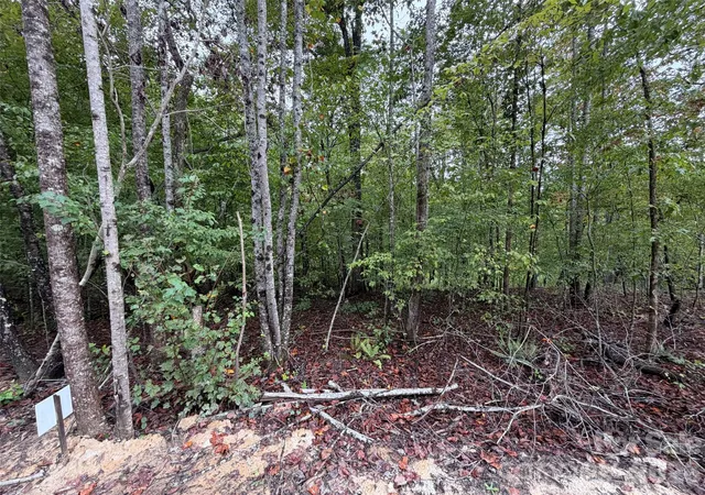 Photo 2 of Land for sale at V/l W V Thompson Rd, Rutherfordton, NC 28139 | MLS# 4430185 | Listing updated on 2026-10-06