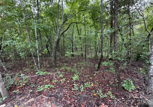 Photo 3 of Land for sale at V/l W V Thompson Rd, Rutherfordton, NC 28139 | MLS# 4430185 | Listing updated on 2026-10-06