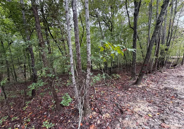 Photo 3 of Land for sale at V/l W V Thompson Rd, Rutherfordton, NC 28139 | MLS# 4430185 | Listing updated on 2026-10-06