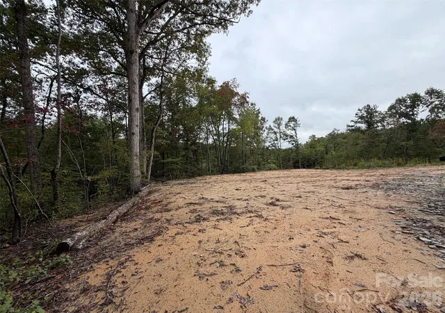 Photo 4 of Land for sale at V/l W V Thompson Rd, Rutherfordton, NC 28139 | MLS# 4430185 | Listing updated on 2026-10-06