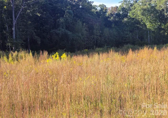 Land for sale at 103 7th Avenue SE #5, Catawba, NC 28609 | MLS# 4430223