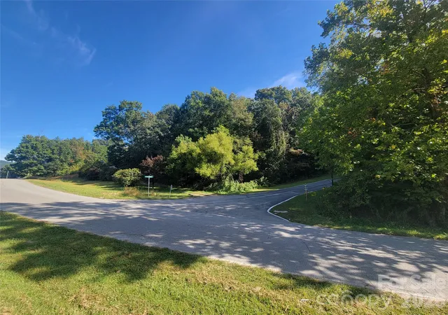 Land for sale at 00 Liner Cvs Rd #00, Waynesville, NC 28786 | MLS# 4430319
