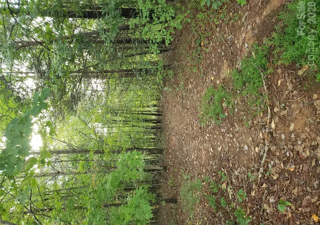 Photo 4 of Land for sale at 00 N Star Dr #19A, Union Mills, NC 28167 | MLS# 4430363 | Listing updated on 2026-10-01