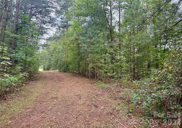 Photo 4 of Land for sale at V/l Grandview Loop #376, Nebo, NC 28761 | MLS# 4430410 | Listing updated on 2026-10-01