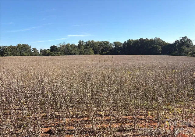 Photo 3 of Land for sale at 00 Gantts Grv Church Rd, Mooresboro, NC 28114 | MLS# 4430449 | Listing updated on 2026-10-09