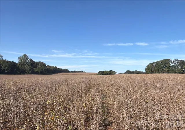 Photo 3 of Land for sale at 00 Gantts Grv Church Rd, Mooresboro, NC 28114 | MLS# 4430449 | Listing updated on 2026-10-09
