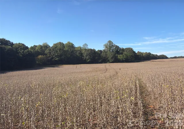 Photo 4 of Land for sale at 00 Gantts Grv Church Rd, Mooresboro, NC 28114 | MLS# 4430449 | Listing updated on 2026-10-09