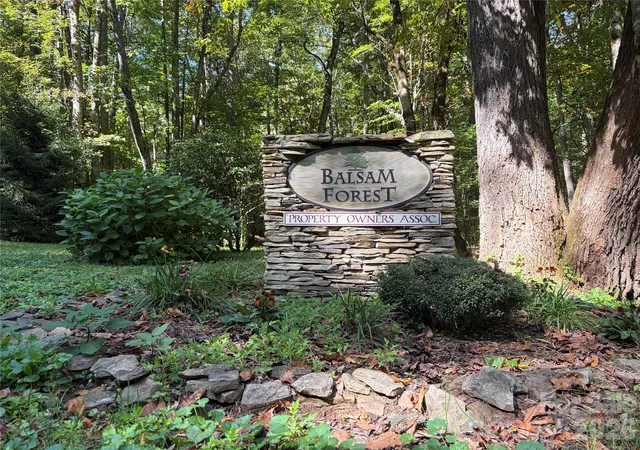 Land for sale at 14 Fern Trl #14, Waynesville, NC 28786 | MLS# 4430530