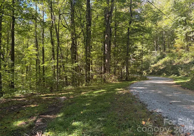 Photo 3 of Land for sale at 14 Fern Trl #14, Waynesville, NC 28786 | MLS# 4430530 | Listing updated on 2026-10-03