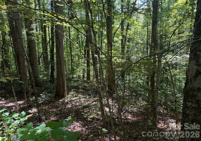 Photo 4 of Land for sale at 14 Fern Trl #14, Waynesville, NC 28786 | MLS# 4430530 | Listing updated on 2026-10-03
