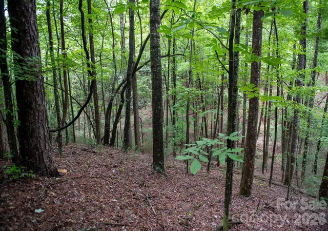 Photo 3 of Land for sale at 0000 Wheel Team Trl #44, Mc Grady, NC 28649 | MLS# 4430667 | Listing updated on 2026-10-03