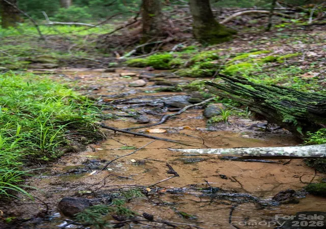 Photo 4 of Land for sale at 0000 Wheel Team Trl #44, Mc Grady, NC 28649 | MLS# 4430667 | Listing updated on 2026-10-03