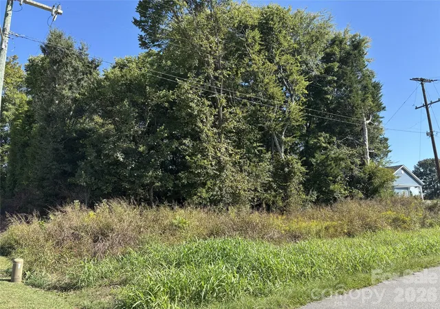 Photo 2 of Land for sale at 0 Railroad St, Cleveland, NC 27013 | MLS# 4430730 | Listing updated on 2026-10-05